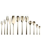 Linea Flatware Set - 67 Pieces - Ice Gold