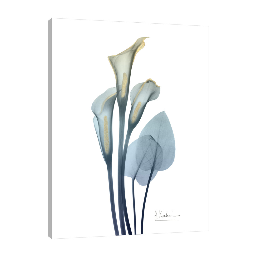 Gold Splash Calla Lily 2 - Wrapped Canvas Print