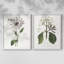 Tropical Botanical III - reproduction encadrée de qualité supérieure - prête à être accrochée - aucun clou requis - aucun clou requis-1644411401-1644411409