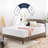 Wayfair Sleep™ 14" Medium Memory Foam Mattress-92128022