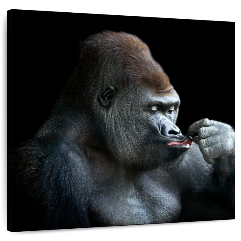Brampt Relaxing Gorilla, 16" H x 16" W