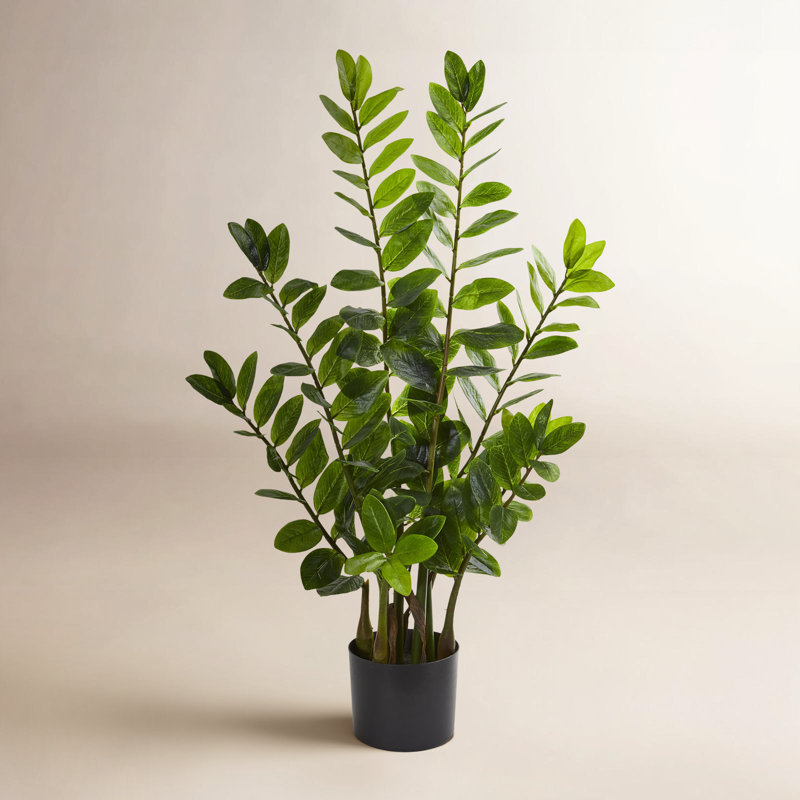 Damali Zamioculcas artificiel en pot, H 36 po x l 20 po x P 12 po