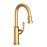 Gavin Single Handle Pull Down Kitchen Faucet