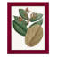 Fall Foliage III, reproduction d'art encadrée-90582648-90582653