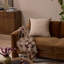 Vienna Square Throw Pillow-170969932-170969935