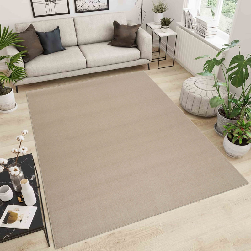 Souta Solid Colour Machine Tufted Shag Area Rug, Rectangle 60 x 110cm
