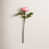 Rose clair est en rupture de stock