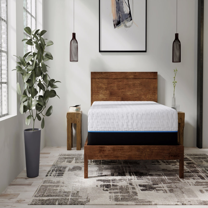 Matelas en mousse viscoélastique 14 pouces