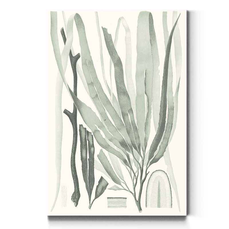 « Sauge Green algue II », reproduction d’art sur toile tendue, H 12 po x l 8 po x P 1 po