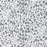 Leopardos