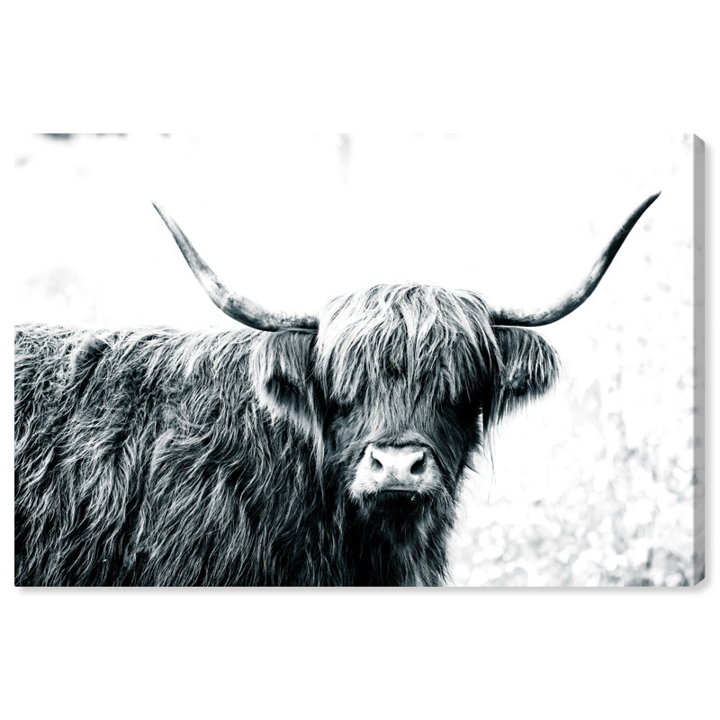 Reproduction d'art sur toile animaux, H 16 po x l 24 po x P 0,8 po