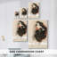 Impression sur toile encadrée-1310439700