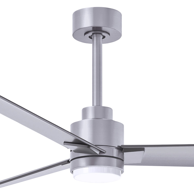 Alessandra - Three Blade Transitional Ceiling Fan -LED, Brushed Nickel, Brushed Nickel, 56"