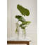 Vase Zuehlke-1773471061