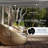 ALEKO Motorized Retractable Outdoor Awning with White Frame-63871961-63871971