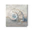 «Blue Shell Study III», reproduction d'art sur toile tendue-1859831420
