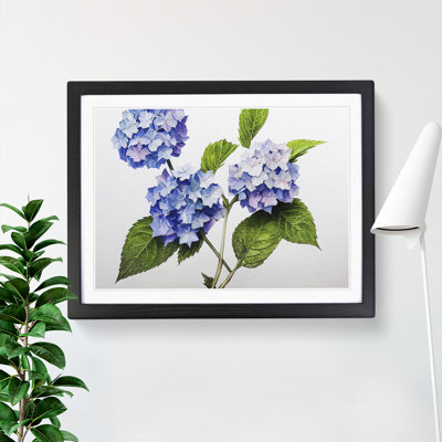 Hydrangea Flowers Vol.1 - Framed Print