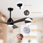  Aura sophistiquée de 52 po Ventilateur de plafond intérieur avec ampoules DEL et télécommande-99080194