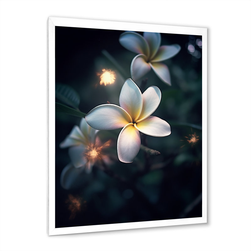 Blanc plumeria symphonie magique II, Cadre simple blanc, H 32 po x l 16 po x P 1 po