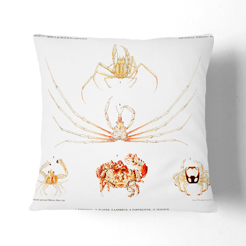 Square Throw Cushion, 55cm H x 55cm W x 20cm D