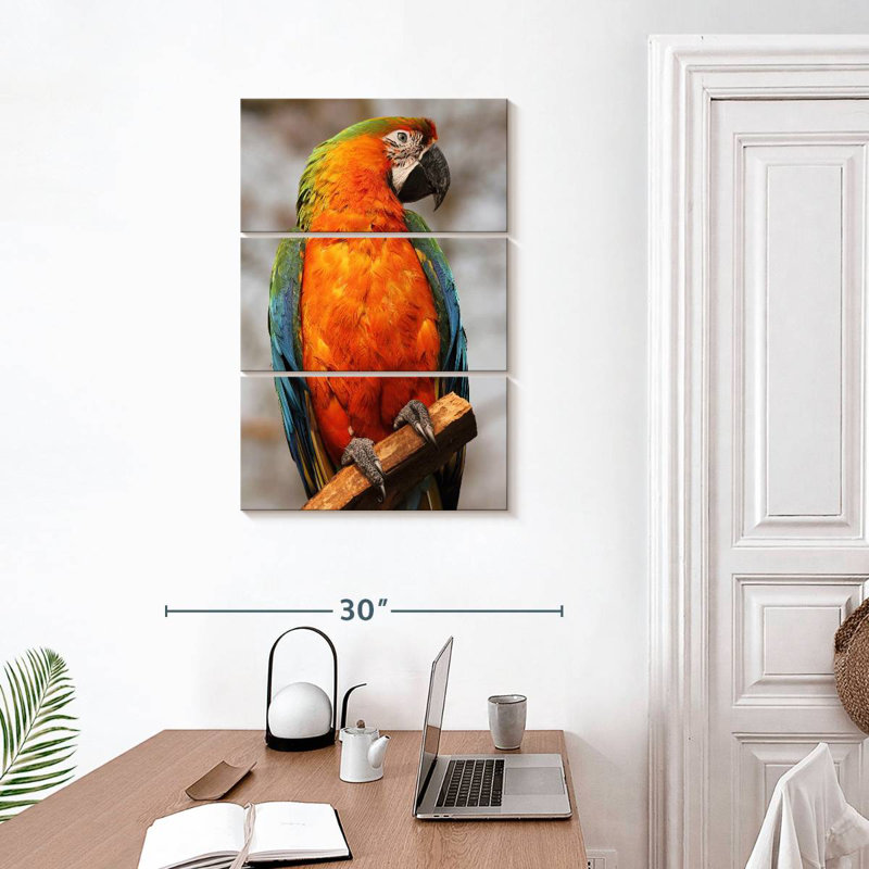 Brampt Catalina Macaw, 32" H x 20" W