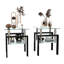 Ensemble de 2 tables de bout carrées modernes, table d'appoint en verre trempé, meubles d'appoint pour le salon, disponibles en finitions transparentes et noires