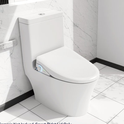 Portable Bidet Seat With Side Knob Benefit - Heated, Automatic Nozzle Wash, Adjustable Water Parameters, Quiet Soft Close, Auto Lid, Hygiene Oriented Design Purge, Water, Approach
