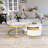 Modern Round Nesting Coffee Table
