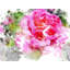 Floral 0824 Print by Chamira Young-71201049-71201051