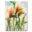 « oiseaux of paradise », reproduction d’art sur toile-31453833