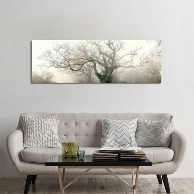 " Panoramic Octopus Ghost Oak " by Philippe Manguin