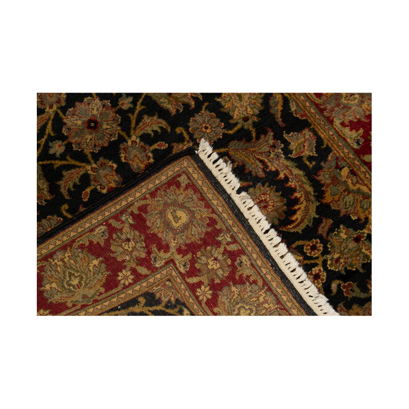 Wool Oriental Area Rug in Black/Red