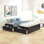 Lit double pour chambre à coucher avec lit gigogne et tiroirs - Bois massif, structure fiable pour lit simple 2 po Optimize-997216277