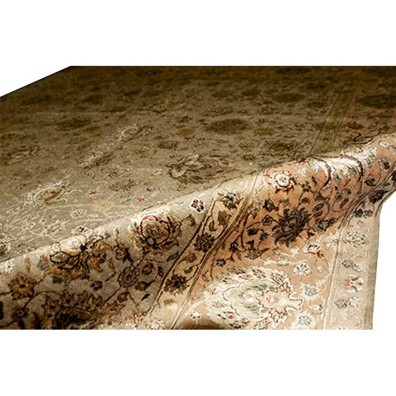 Chantel Oriental Area Rug in Brown