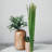 Elmhur Arrangement-1031606642
