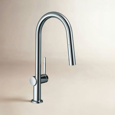 Hansgrohe Talis N A-Style Pull-Down Faucet