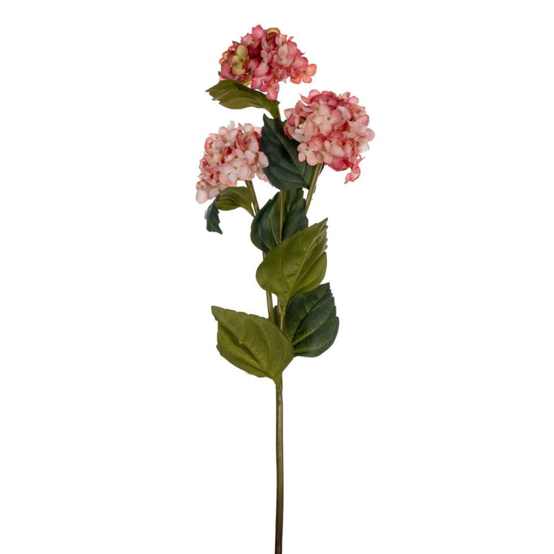 Tige d'hydrangée, Rose