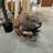 Beaver Life Size Statue