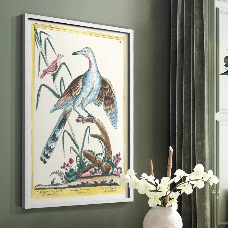 «Pastel Birds V», reproduction encadrée en bois massif, Blanc, H 14 po x l 11 po