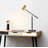 Ronasia Metal Desk Lamp
