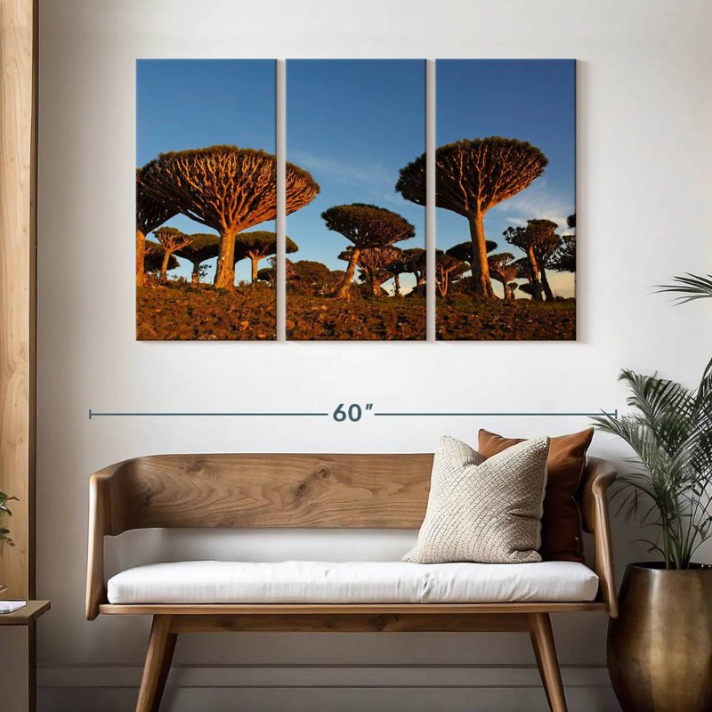 Socotra Island Trees, 32" H x 50" W