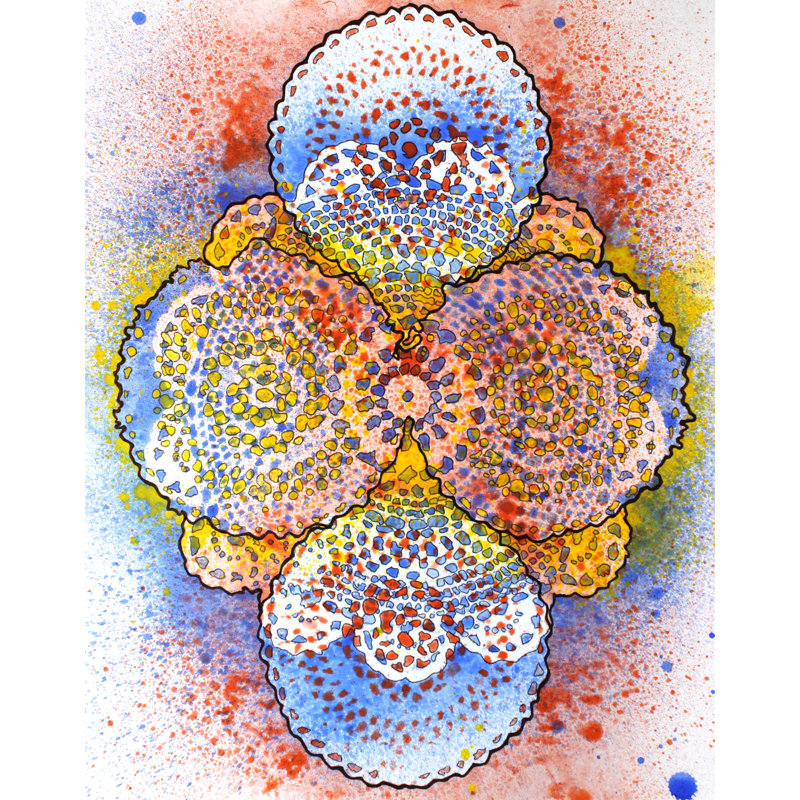 Stain 3 Print by Katie Schutte, 21.25" H x 17.25" W x 0.875" D