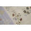 Floral Area Rug