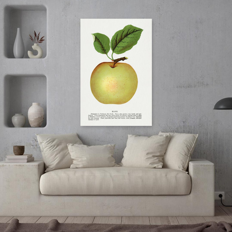 Pomme de lin Mann, H 36 po x l 24 po