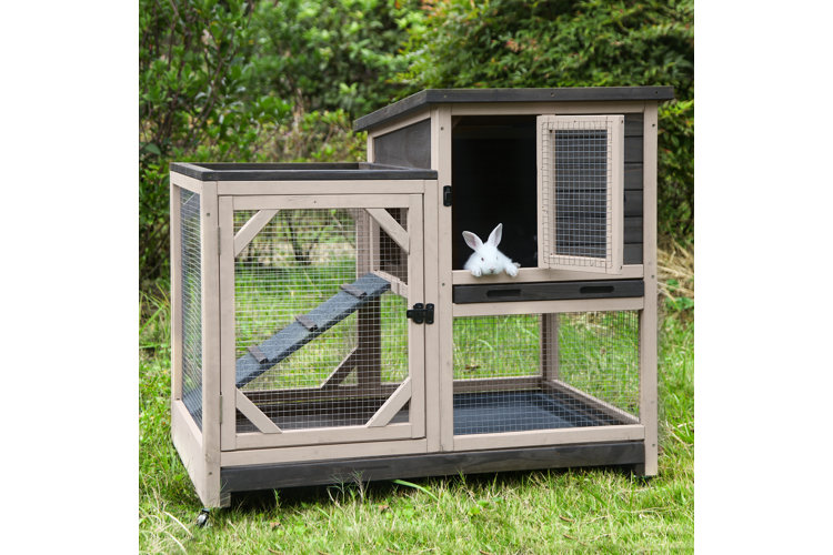 Types of hutches for rabbits