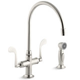 Glass Single-Hole Double Handle Kitchen Faucet with 9" Gooseneck Spout and Accent Sidespray