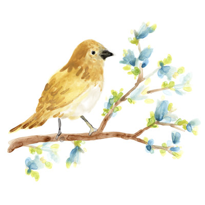 Oiseaux chanteurs du printemps III