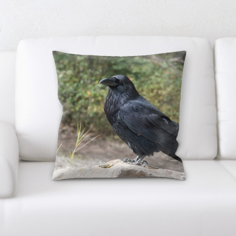 Coussin raven