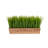 10'' Faux Grass in Wood Planter