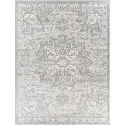 Grey/Ivory Area Rug